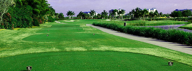 Shell Point Golf Club 08 - Florida Golf Course