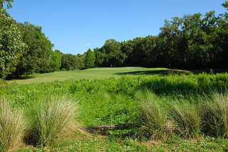 Country Club of Orange Park 07- Florida Golf Course