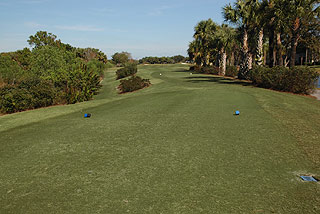 Cypress Woods Golf Club - Florida Golf Course