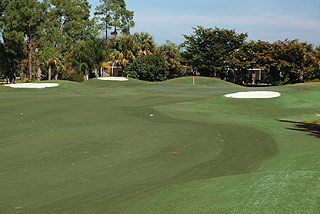 Cypress Woods Golf Club - Florida Golf Course