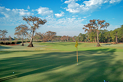 Miromar Lakes Golf Club 08 - Florida Golf Course