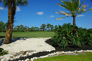 Myakka Pines Golf Club | Florida golf course