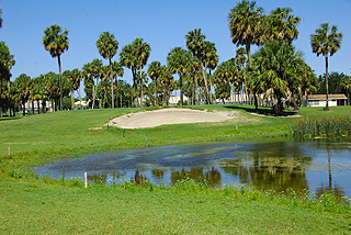 Palm Aire Oaks Course