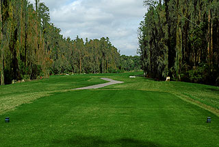 Saddlebrook Golf Club 06
