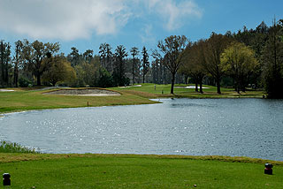 Saddlebrook Golf Club 06