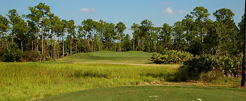 Florida Golf Course Review Sandhill Crane Golf Club