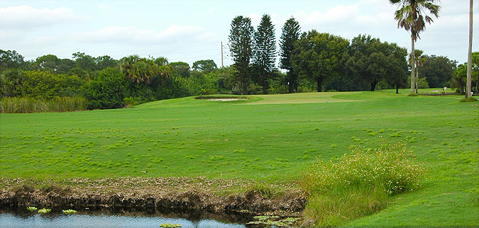 Serenoa Golf Club | Florida golf course