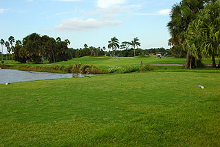 Serenoa Golf Club | Florida golf course