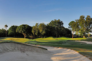 TPC of Tampa Bay | Florida Golf Course