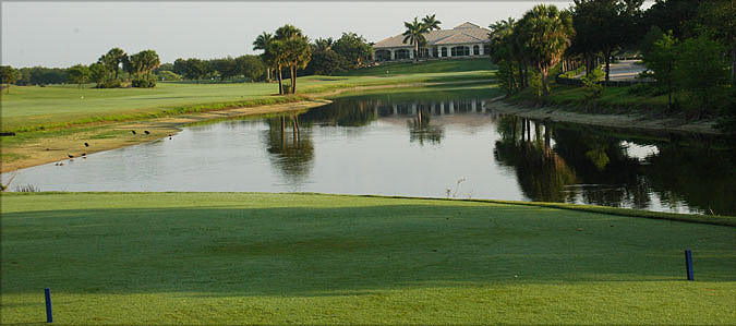 Abacoa Golf Club 05