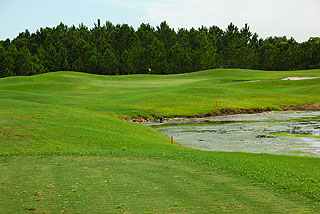 Buffalo Creek Golf Club | Florida golf course