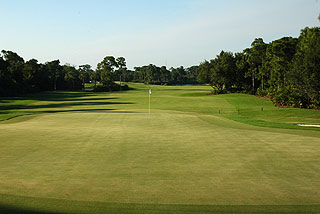 Colony Golf and Country Club - Florida Golf Course
