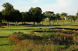 Eagle Ridge Golf Club  07- Florida Golf Course