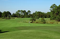 The Grand Club 07 - Grand Haven Golf Course - Florida Golf Course