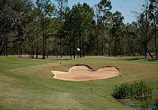 Hernando Oaks Golf Club 06
