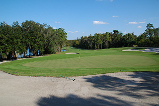 Innisbrook Resort 06 - Island Course