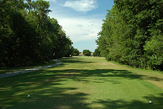 Lansbrook Golf Club | Florida golf course