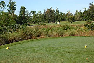 Madison Green Golf Club | Florida golf course