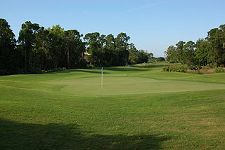 Link at Madison Green | Florida golf course