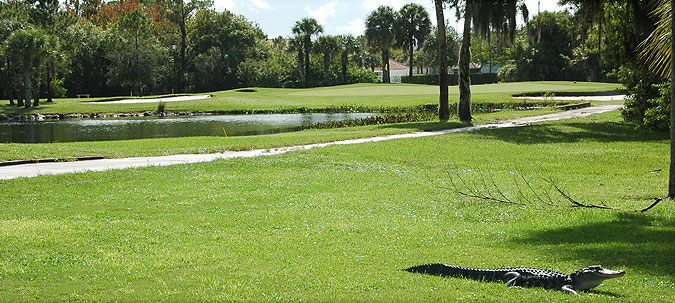 Preserve at Tara Golf Club - Florida golf course