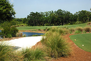 Raptor Bay Golf Club - Florida Golf Course