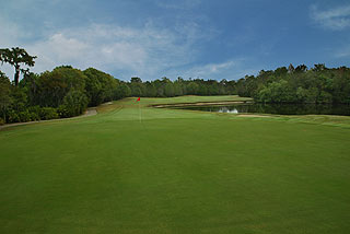 Rosedale Golf & Coun try Club | Florida golf course
