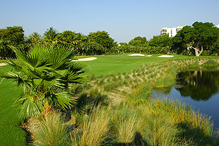 Turnberry Isle Golf - Miller Course | Florida golf course